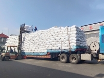 把握機(jī)遇、鉚足干勁、承勢(shì)而上